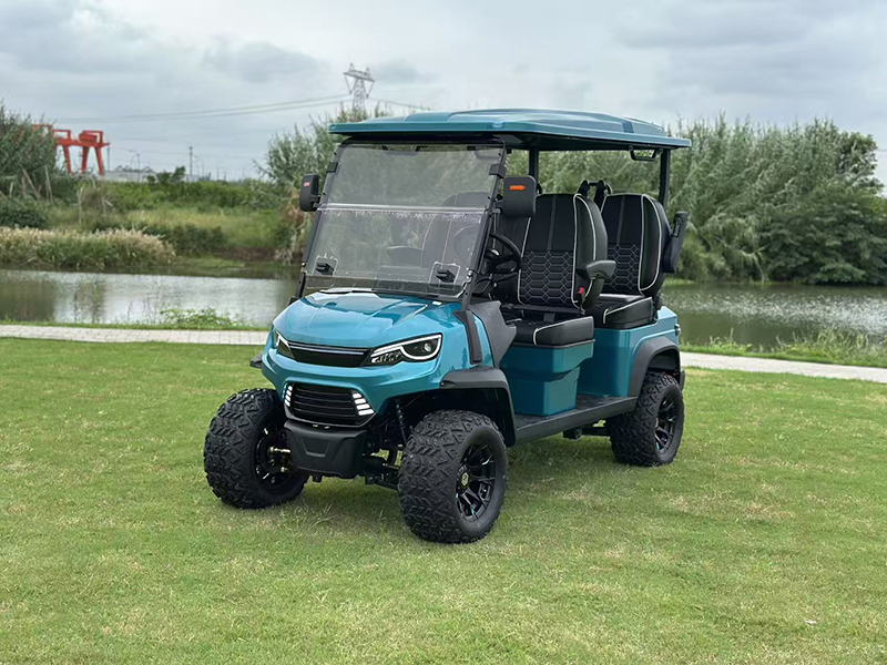 LSV GOLF CART-4